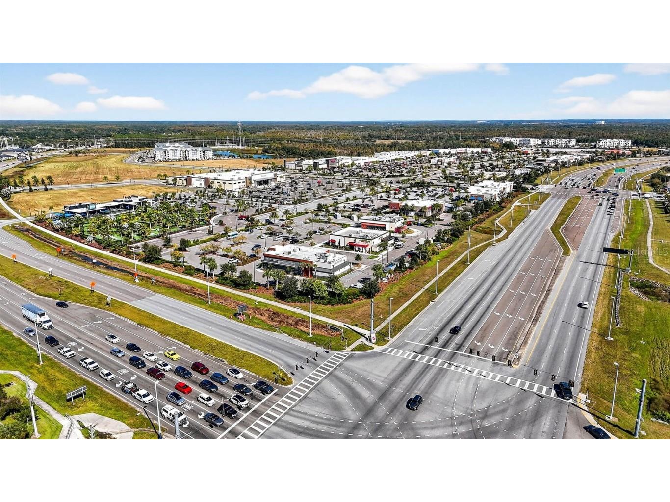 25993 Woven Wicker Bend Lutz FL 33559 TB8449774 image20