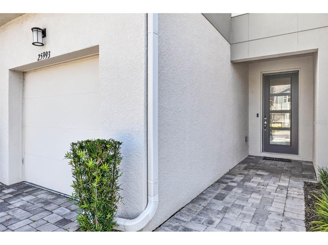 25993 Woven Wicker Bend Lutz FL 33559 TB8449774 image22