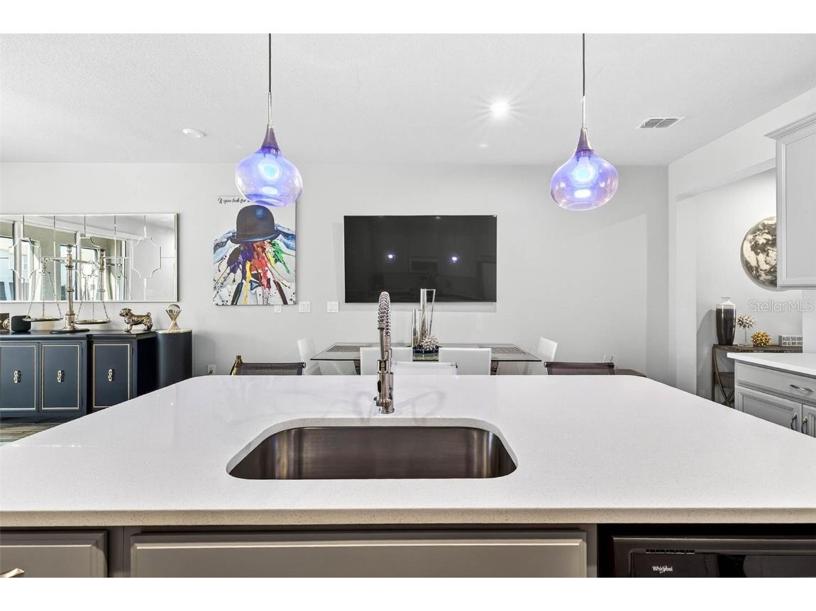 25993 Woven Wicker Bend Lutz FL 33559 TB8449774 image27