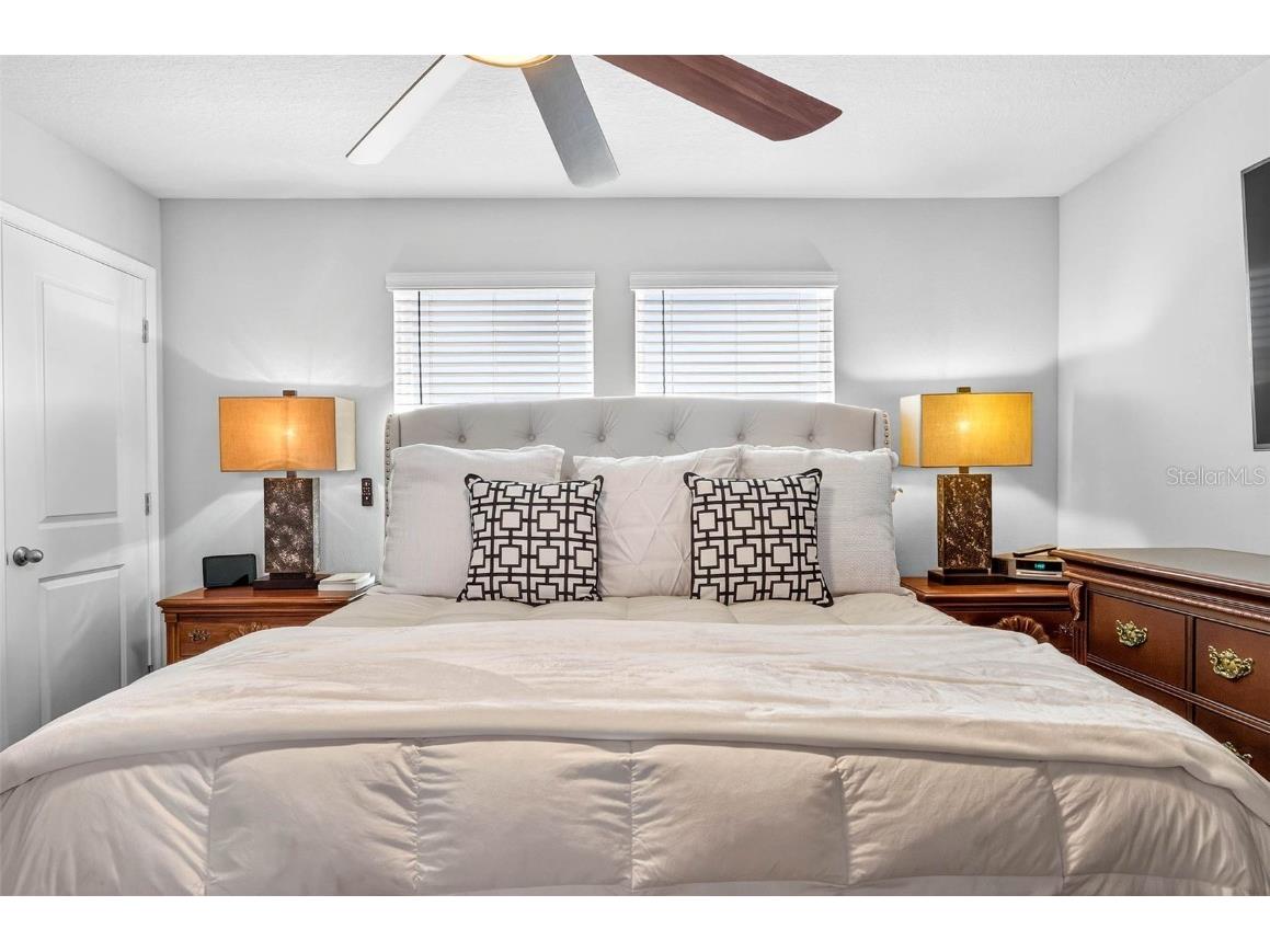 25993 Woven Wicker Bend Lutz FL 33559 TB8449774 image36