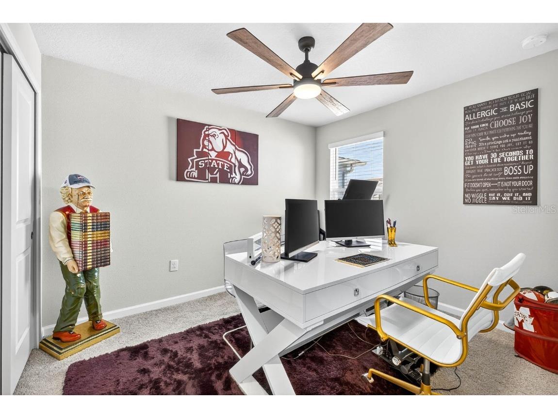 25993 Woven Wicker Bend Lutz FL 33559 TB8449774 image9