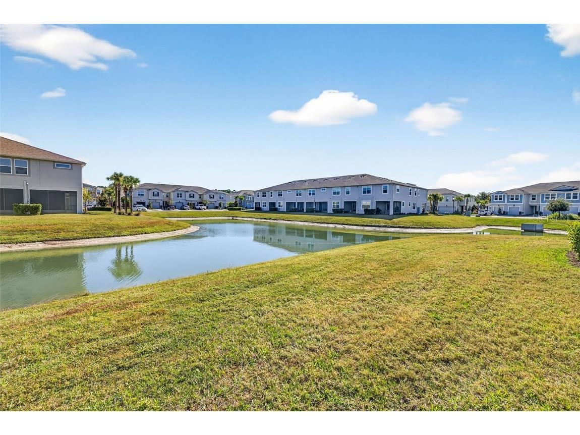 25993 Woven Wicker Bend Lutz FL 33559 TB8449842 image42