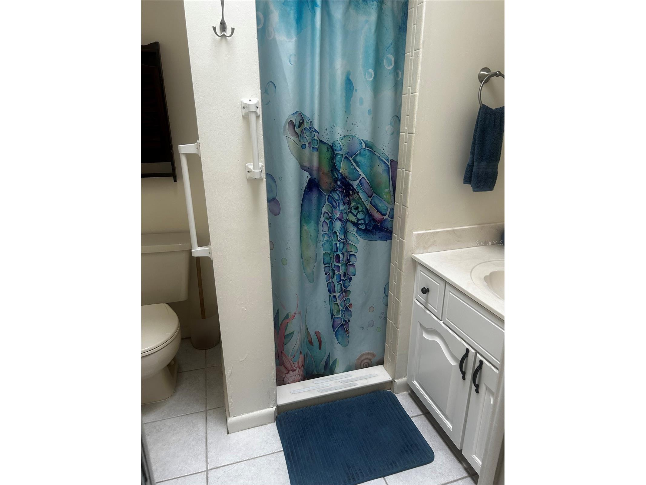 26 Bannerwood Lane Palm Coast FL 32137 FC318262 image10