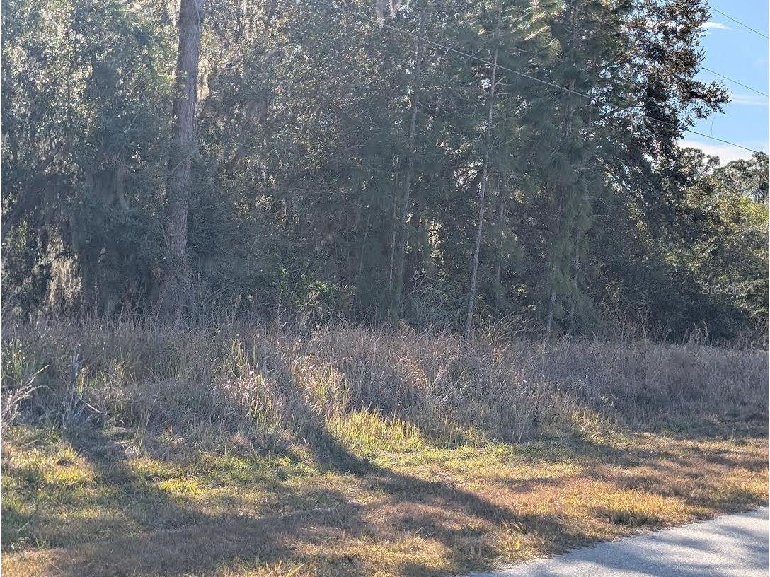 26 Banyan Drive Indian Lake Estates FL 33855 - LAKE WALK-IN-WATER P4937704 image1