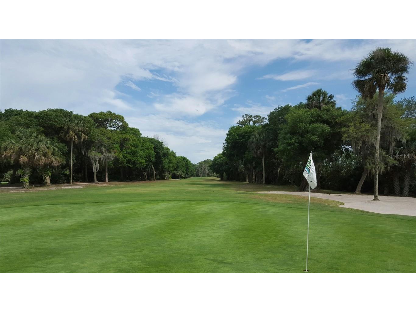 26 Birdie Drive New Smyrna Beach FL 32168 NS1083945 image31