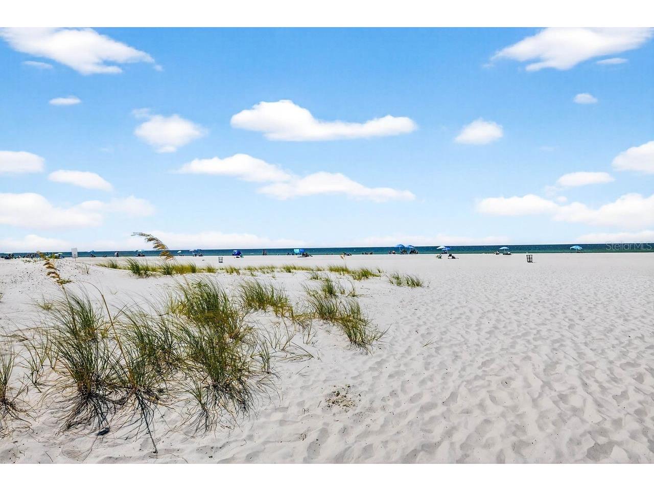 26 Cambria Street Clearwater Beach FL 33767 TB8481791 image48