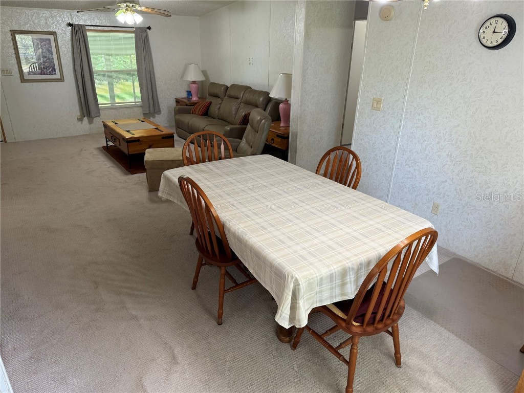 26 Canal Way Lake Panasoffkee FL 33538 - CANAL TO OUTLET RIVER G5097379 image27