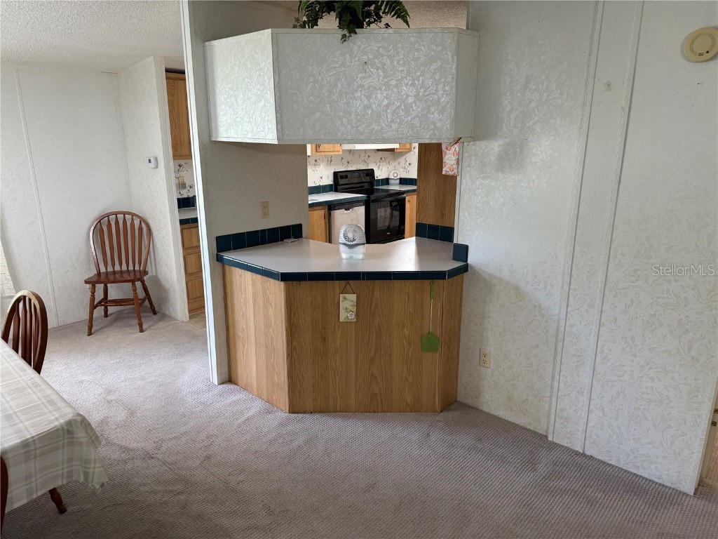 26 Canal Way Lake Panasoffkee FL 33538 - CANAL TO OUTLET RIVER G5097379 image30