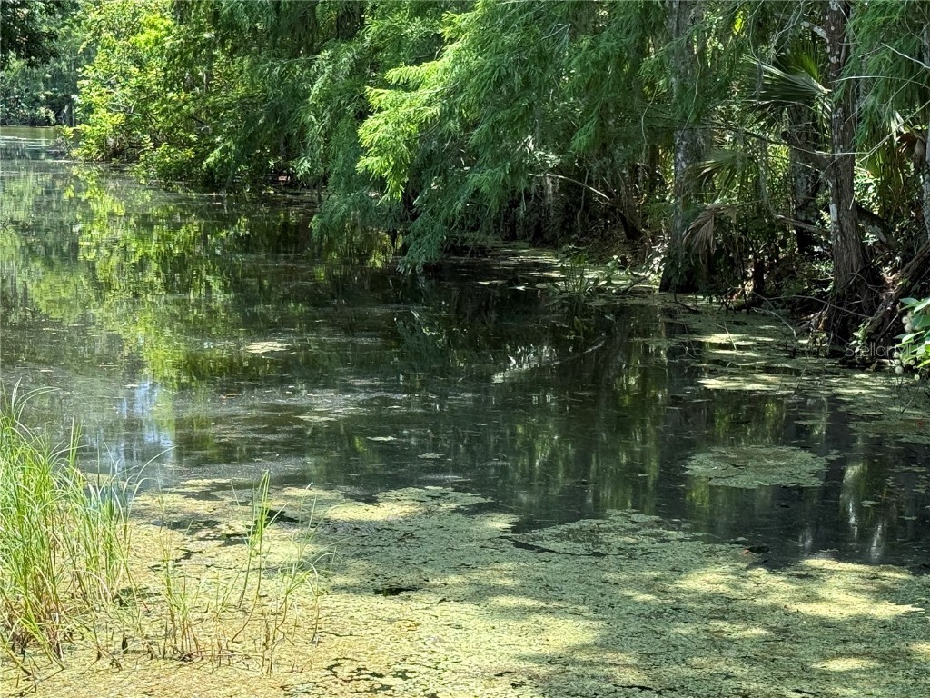 26 Canal Way Lake Panasoffkee FL 33538 - CANAL TO OUTLET RIVER G5097379 image65