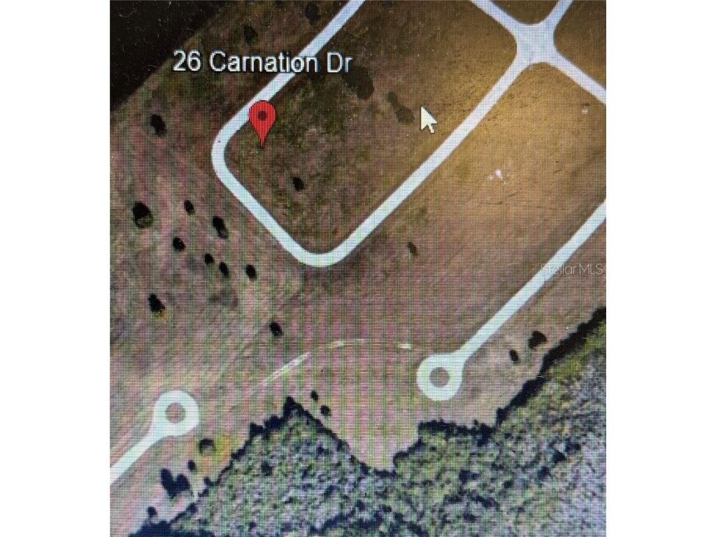 26 Carnation Drive Placida FL 33946 TB8438150 image1