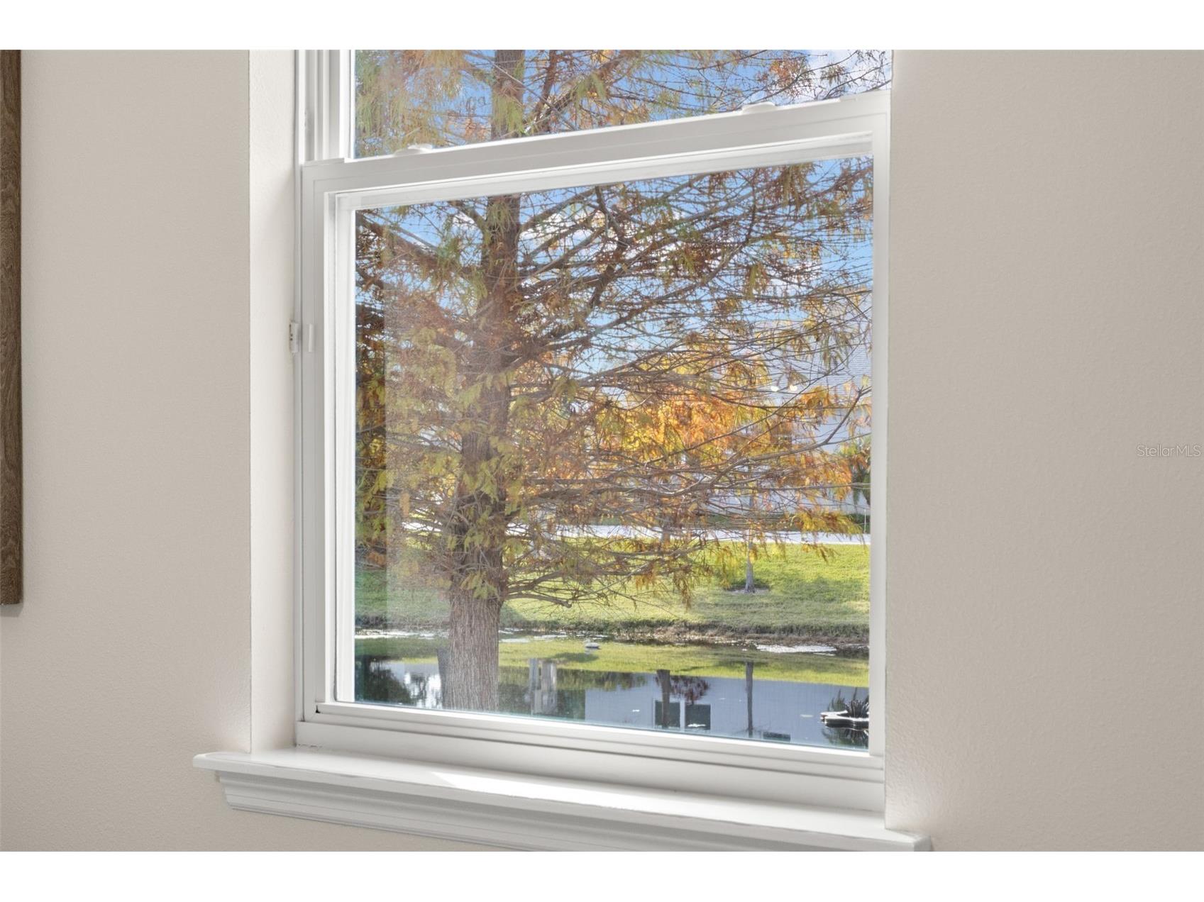 26 Concord Drive Dunedin FL 34698 TB8462330 image31