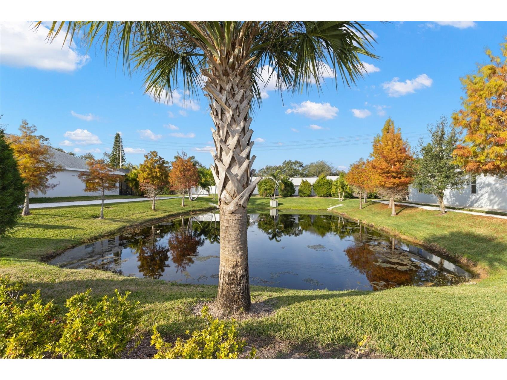 26 Concord Drive Dunedin FL 34698 TB8462330 image49