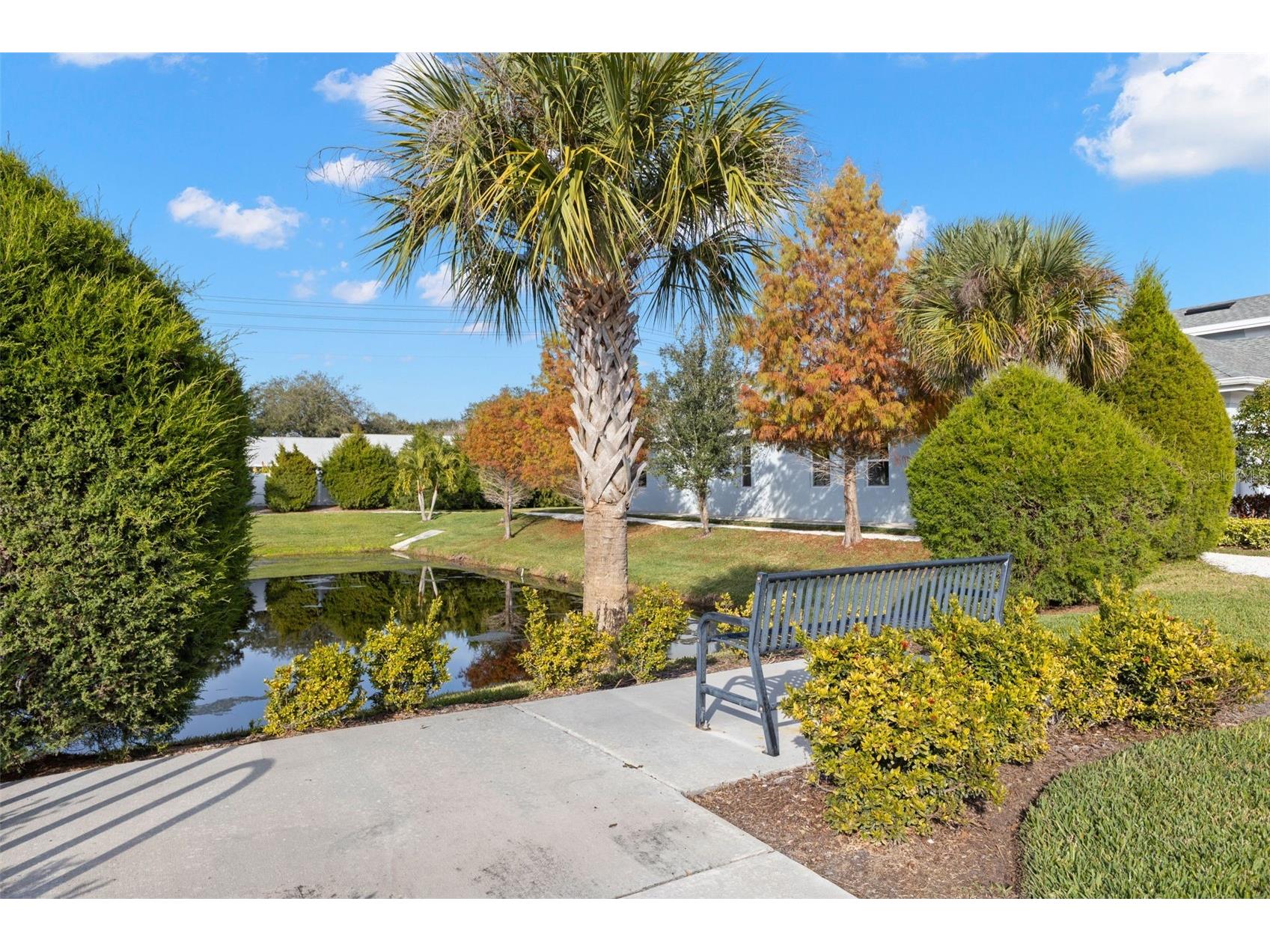 26 Concord Drive Dunedin FL 34698 TB8462330 image50