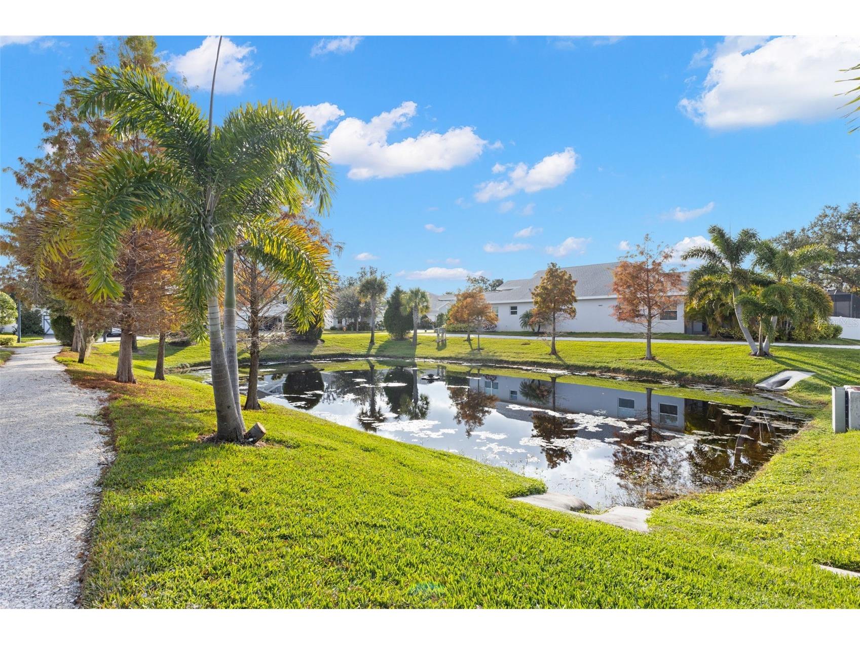 26 Concord Drive Dunedin FL 34698 TB8462330 image51