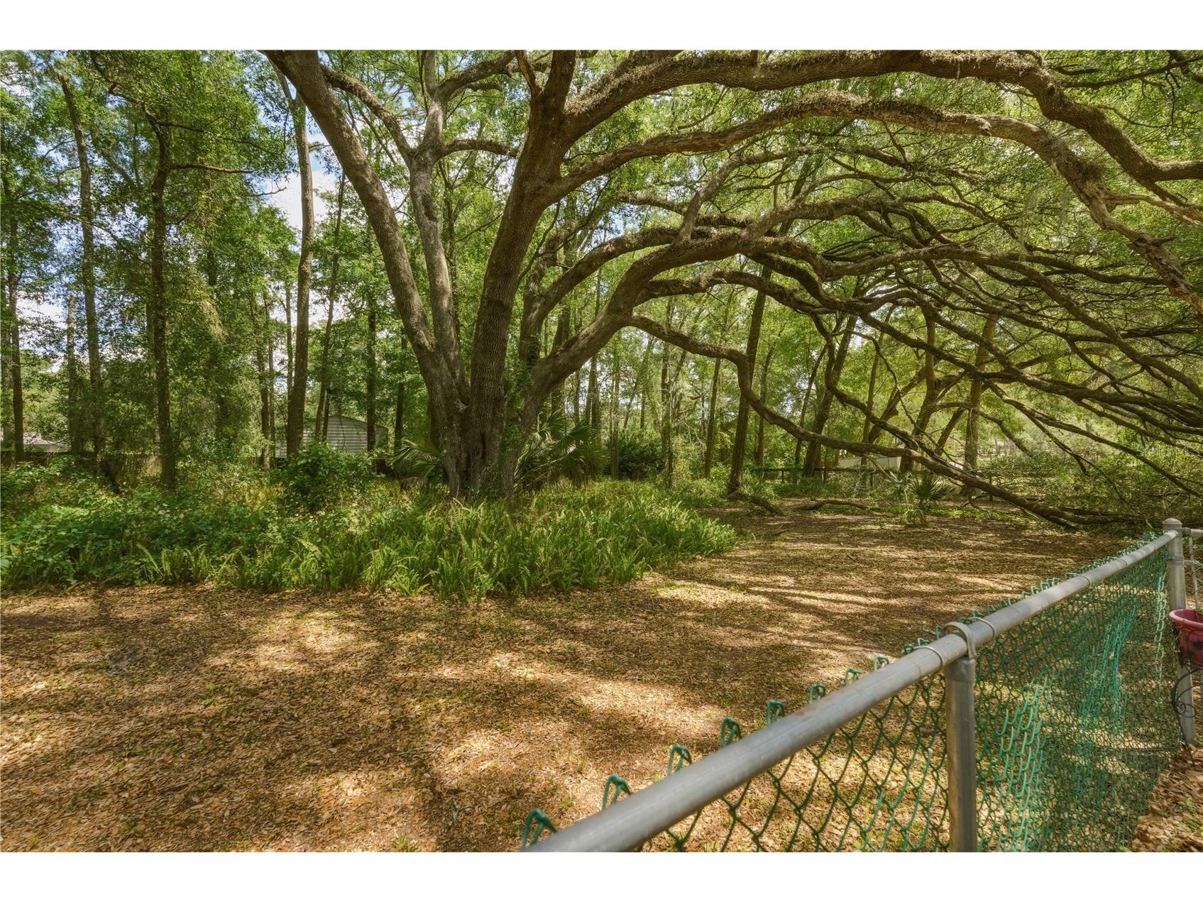 26 Count Fleet Drive Ocala FL 34482 OM723963 image39