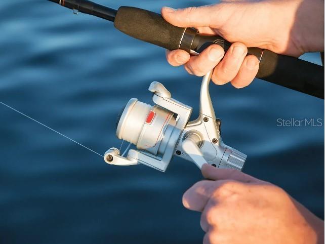 26 Douglas Court S Homosassa FL 34446 O6370311 image24