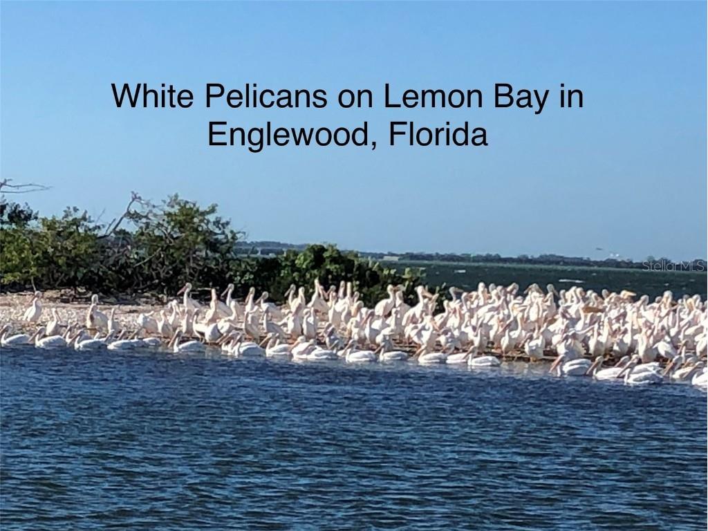 26 Golf View Drive Englewood FL 34223 N6141336 image97