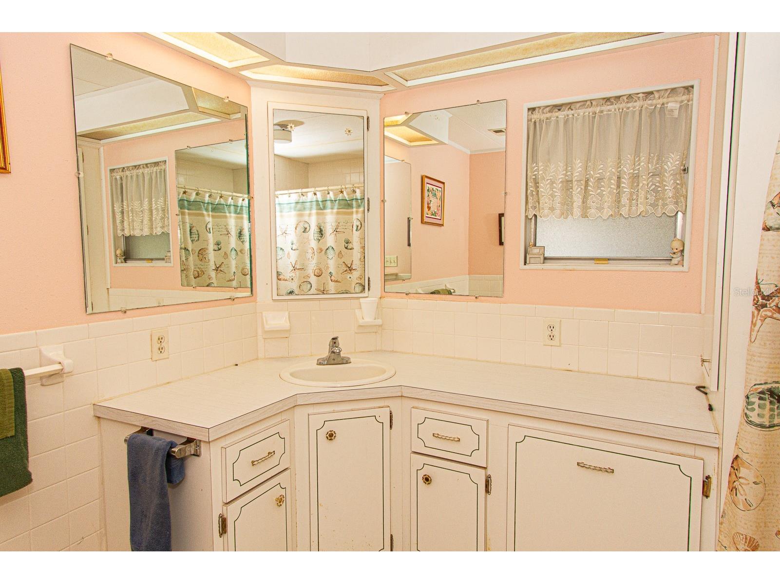 26 Hamilton Lane Palm Harbor FL 34684 - LAKE TARPON TB8521957 image23