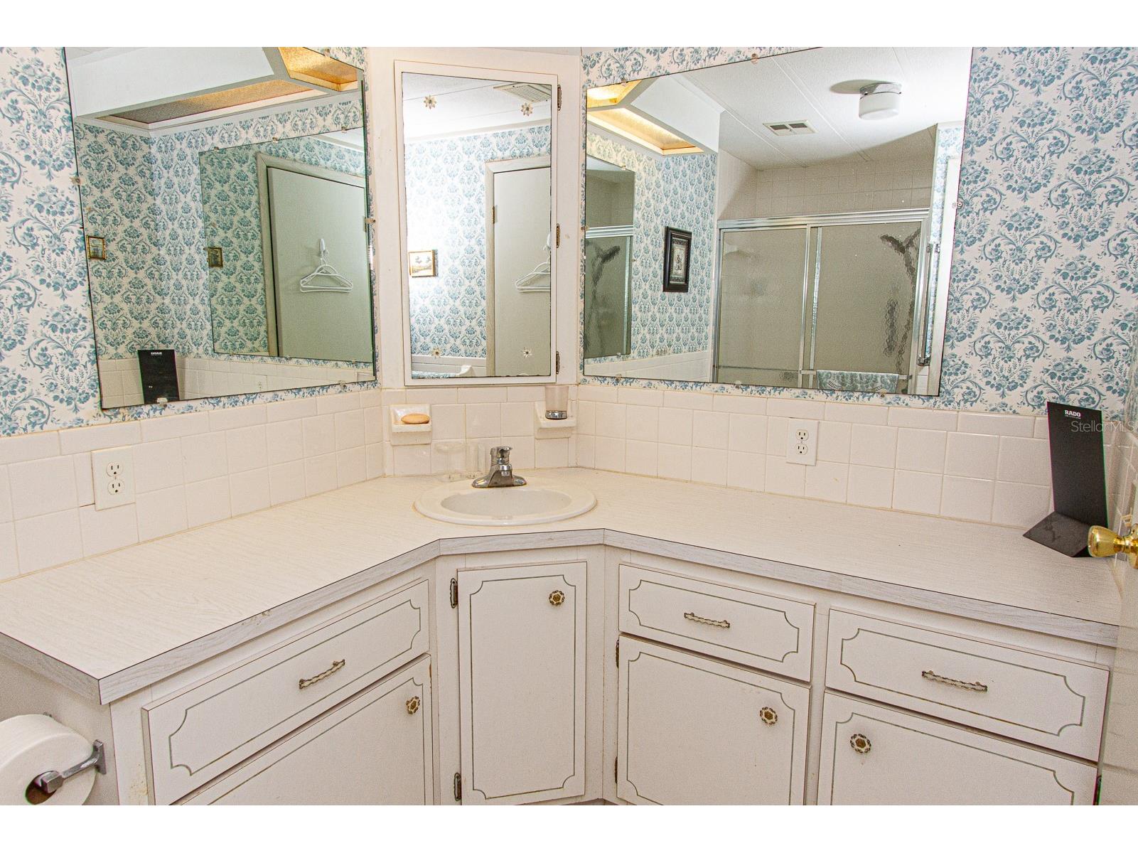 26 Hamilton Lane Palm Harbor FL 34684 - LAKE TARPON TB8521957 image29