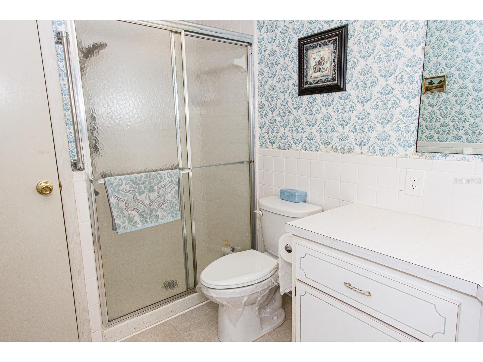 26 Hamilton Lane Palm Harbor FL 34684 - LAKE TARPON TB8521957 image30