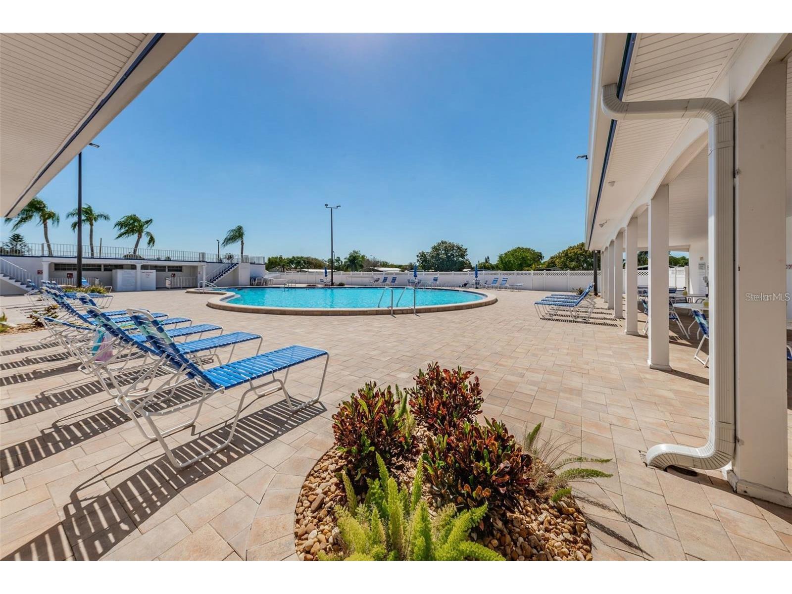 26 Hamilton Lane Palm Harbor FL 34684 - LAKE TARPON TB8521957 image39