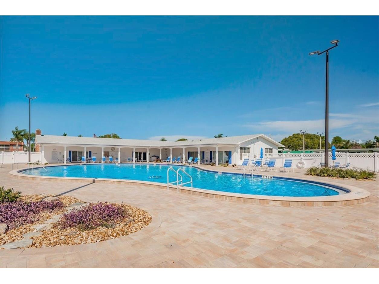 26 Hamilton Lane Palm Harbor FL 34684 - LAKE TARPON TB8521957 image40