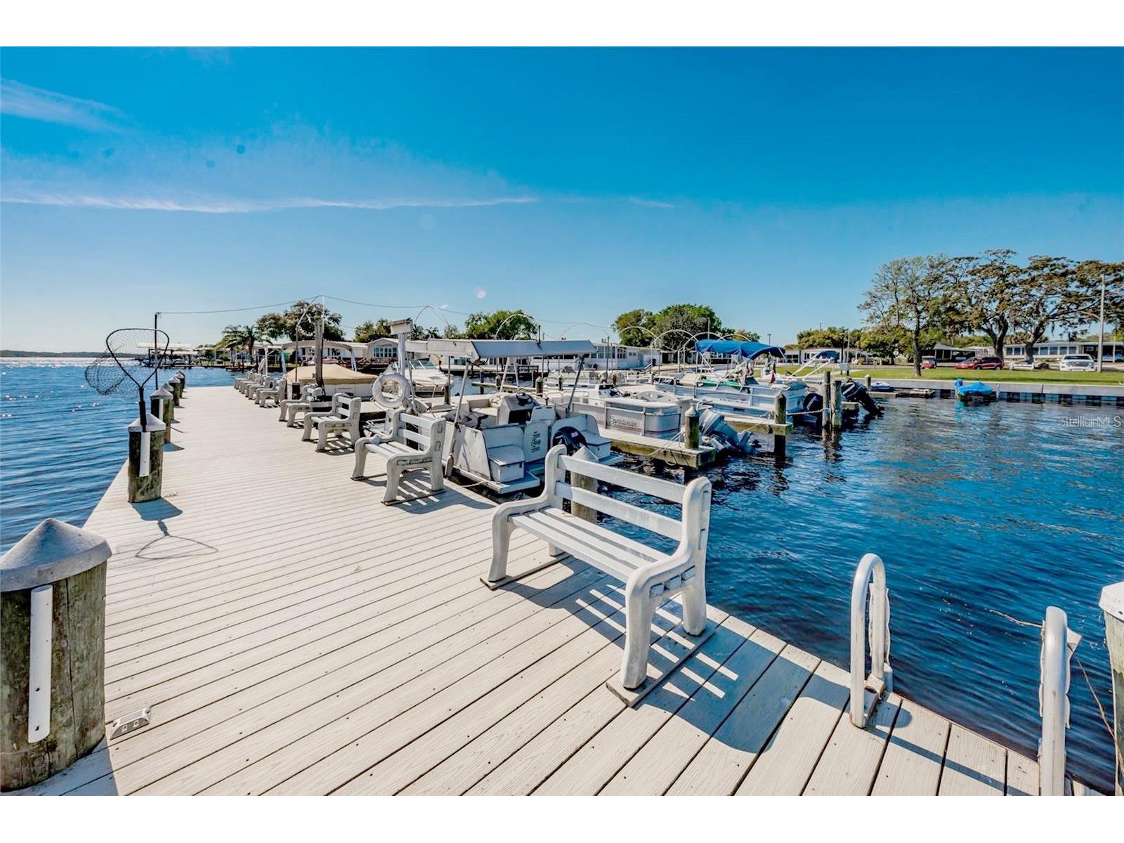 26 Hamilton Lane Palm Harbor FL 34684 - LAKE TARPON TB8521957 image42