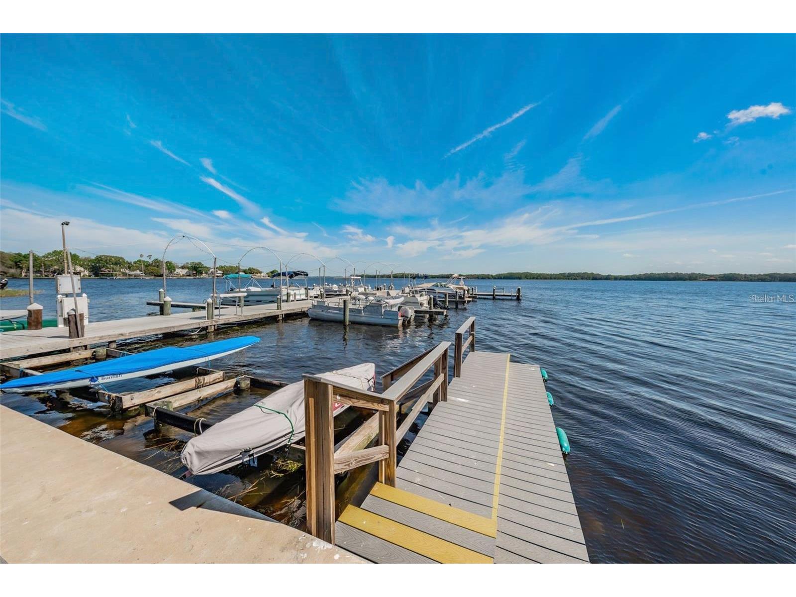 26 Hamilton Lane Palm Harbor FL 34684 - LAKE TARPON TB8521957 image45