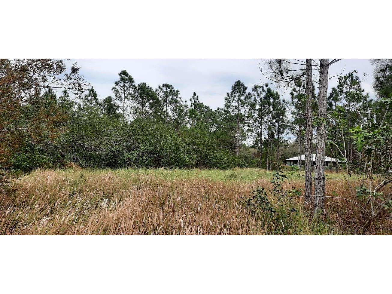 26 Lantana Drive S Indian Lake Estates FL 33855 - LAKE WALK-IN-WATER TB8351600 image6