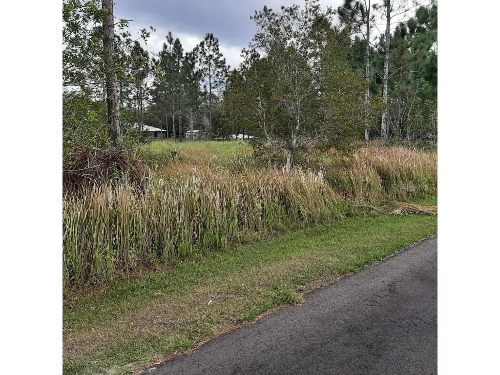 26 Lantana Drive S Indian Lake Estates FL 33855 - LAKE WALK-IN-WATER TB8351600 image7