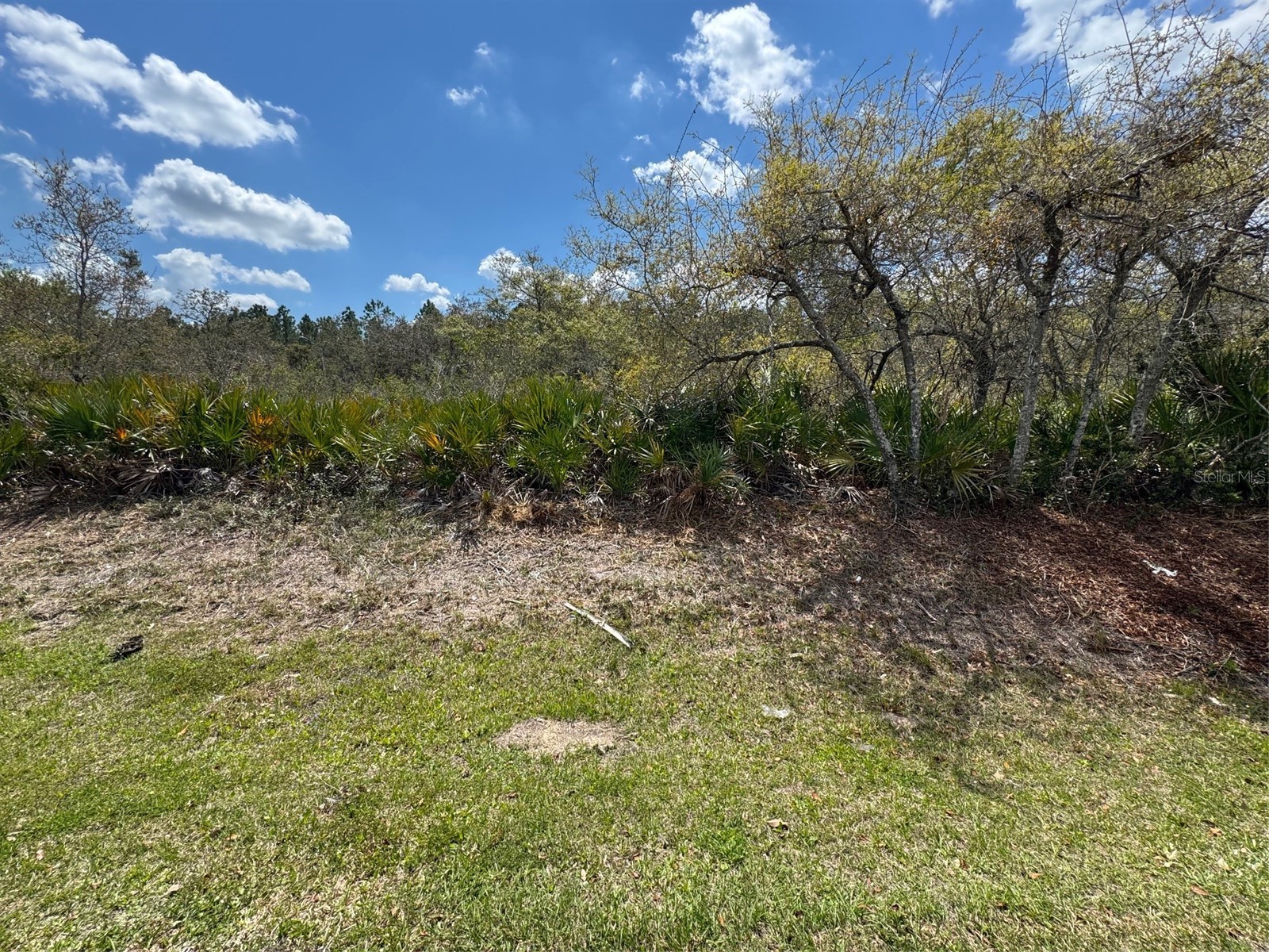 26 Louisville Drive Palm Coast FL 32137 FC317288 image5