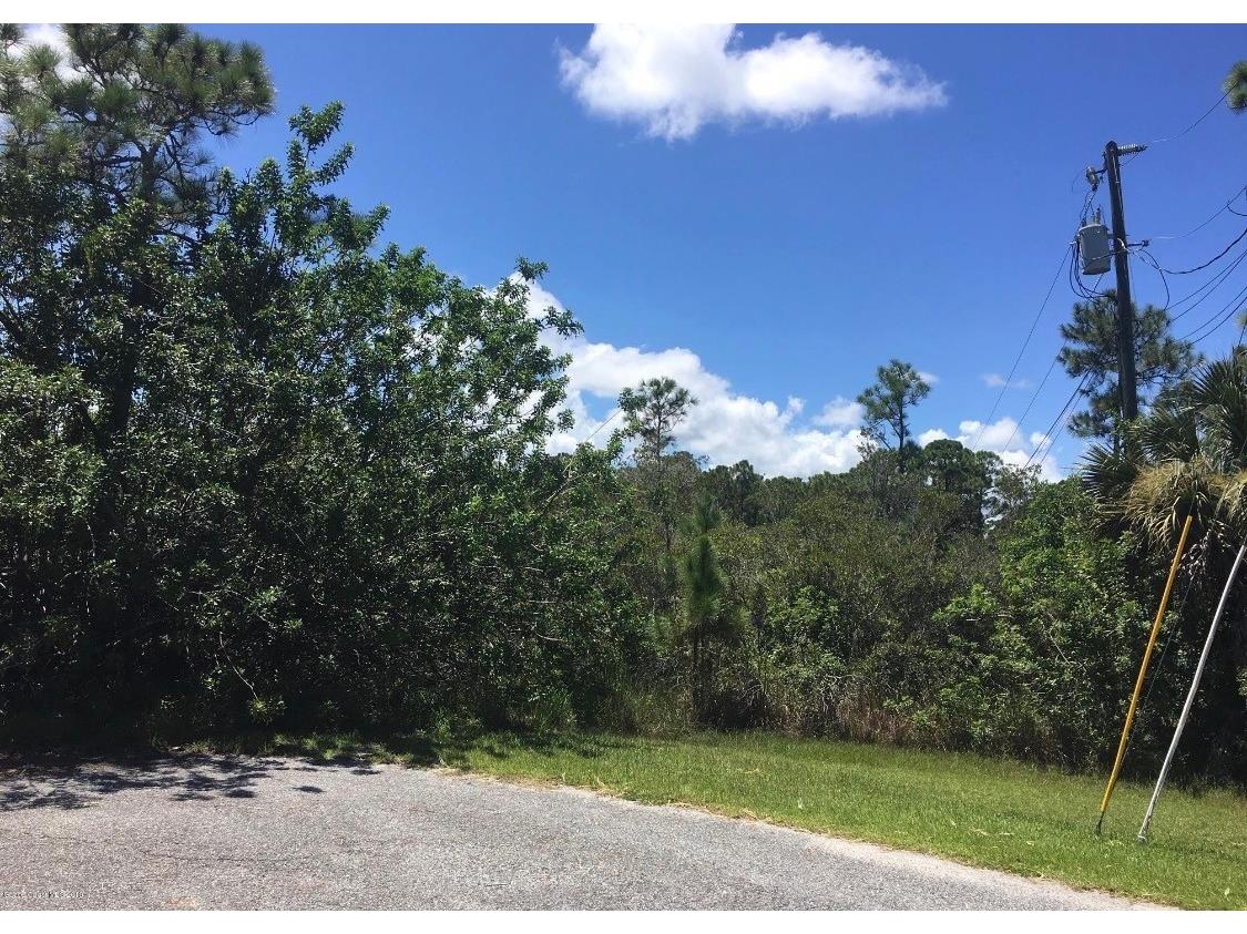 26 Luther Drive Palm Coast FL 32137 FC318042 image2