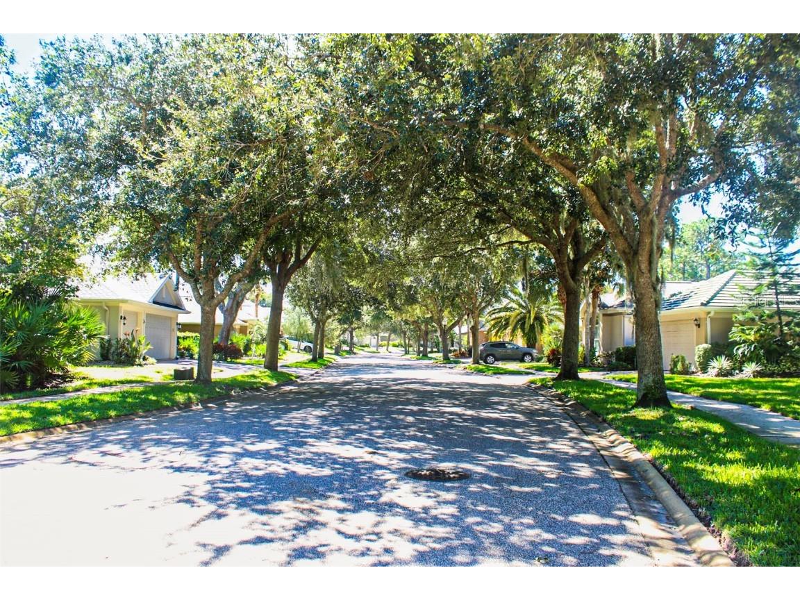 26 N Park Circle Palm Coast FL 32137 FC312776 image23