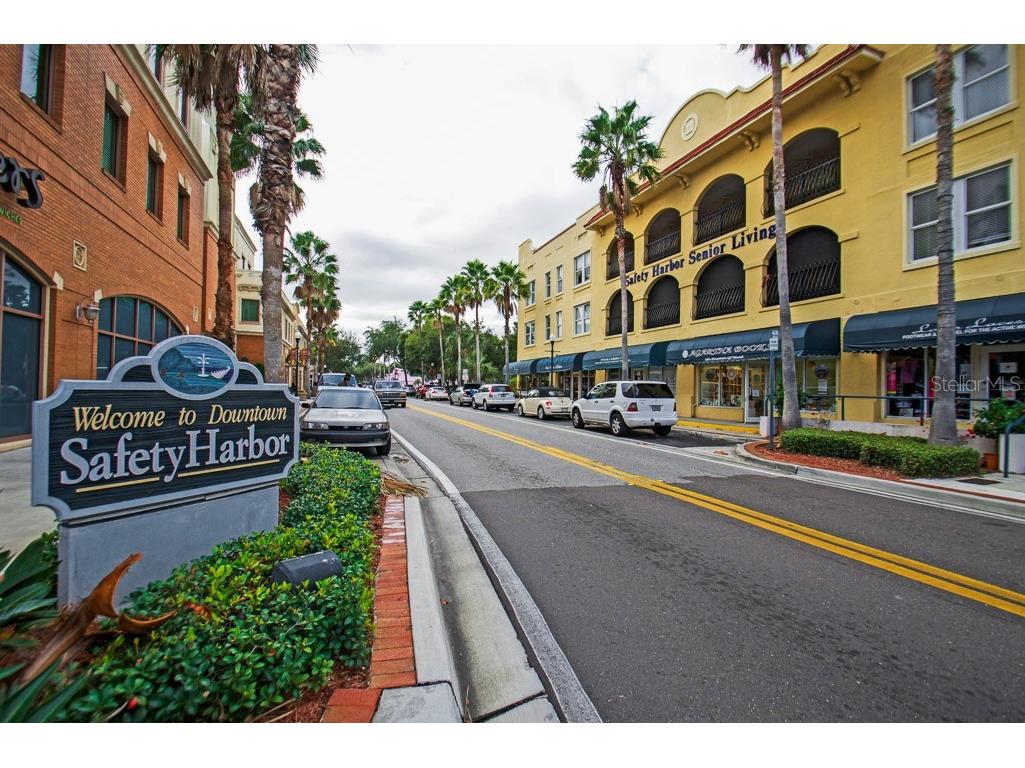 26 Ridgecroft Lane Safety Harbor FL 34695 TB8434004 image41