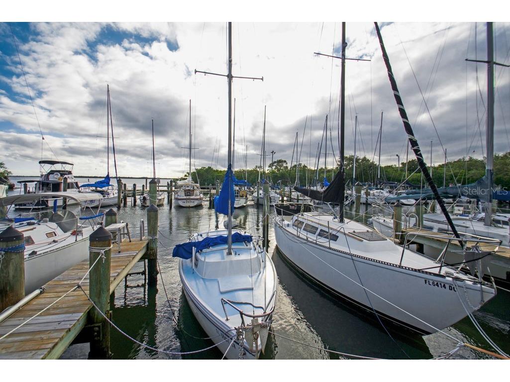 26 Ridgecroft Lane Safety Harbor FL 34695 TB8434004 image44