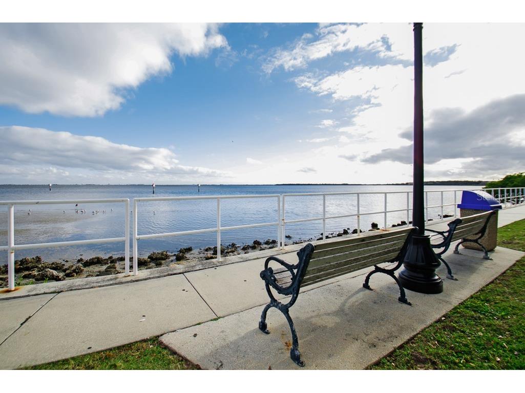 26 Ridgecroft Lane Safety Harbor FL 34695 TB8434004 image45