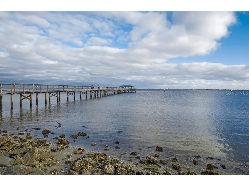 26 Ridgecroft Lane Safety Harbor FL 34695 TB8434004 image46