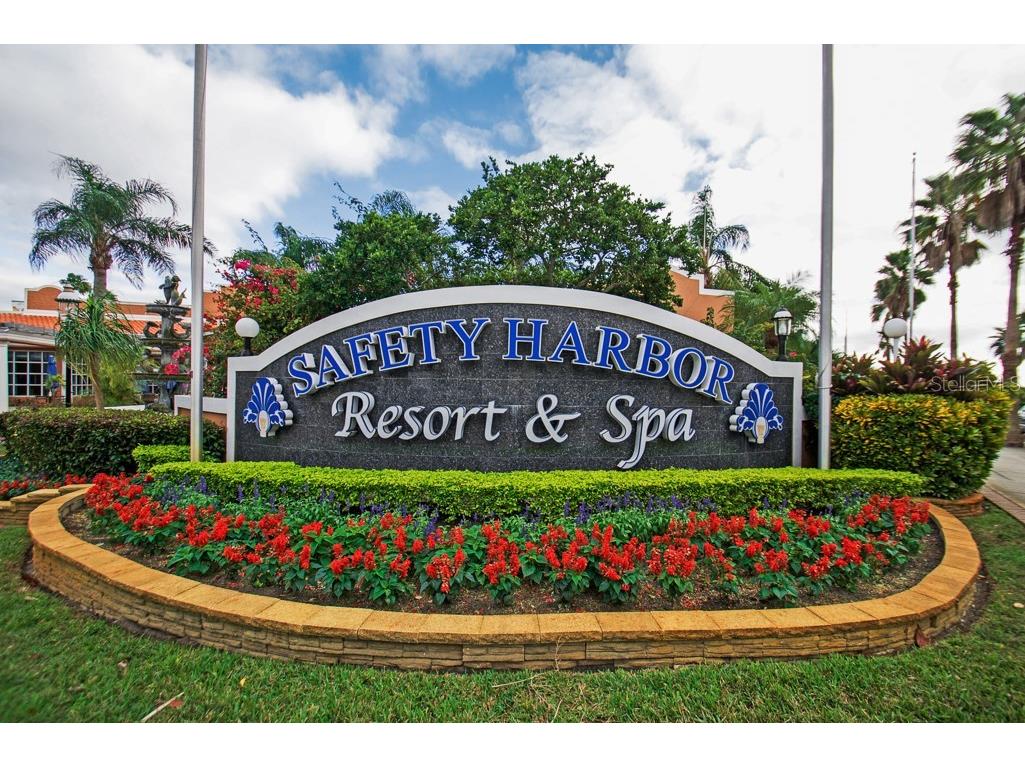 26 Ridgecroft Lane Safety Harbor FL 34695 TB8434004 image47