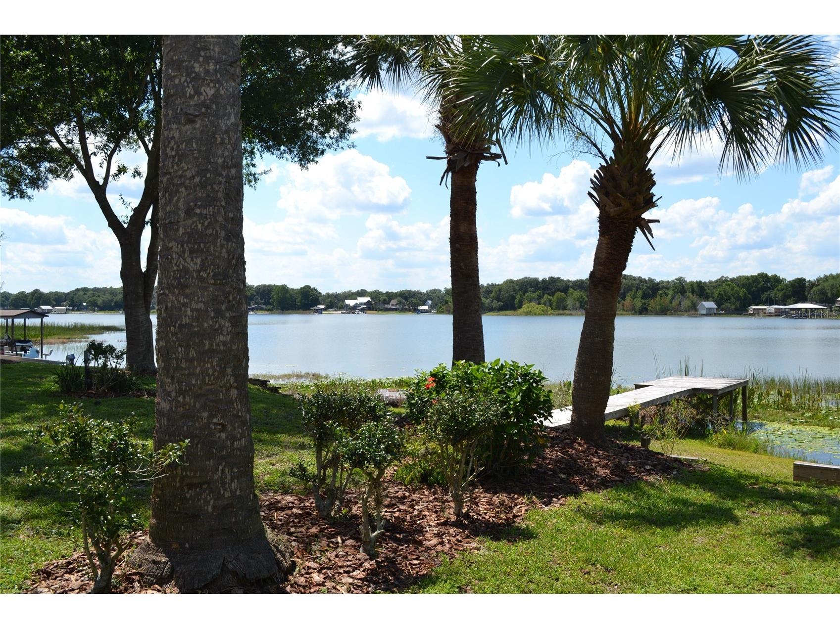 26 SE Ocale Way Summerfield FL 34491 OM724609 image13