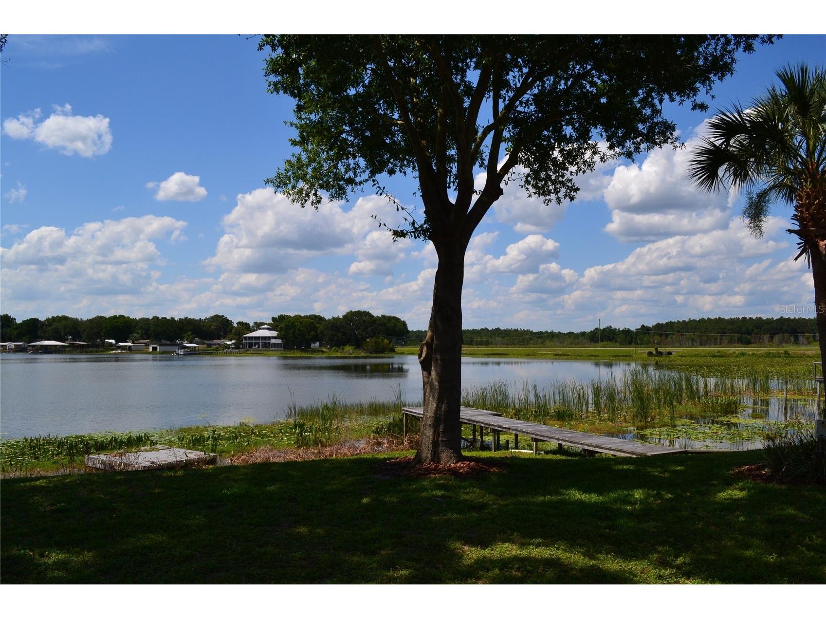 26 SE Ocale Way Summerfield FL 34491 OM724609 image15