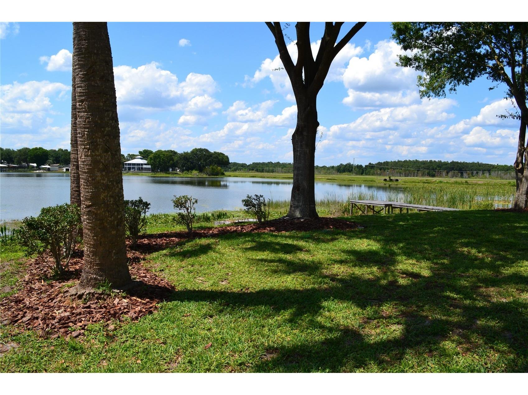 26 SE Ocale Way Summerfield FL 34491 OM724609 image17
