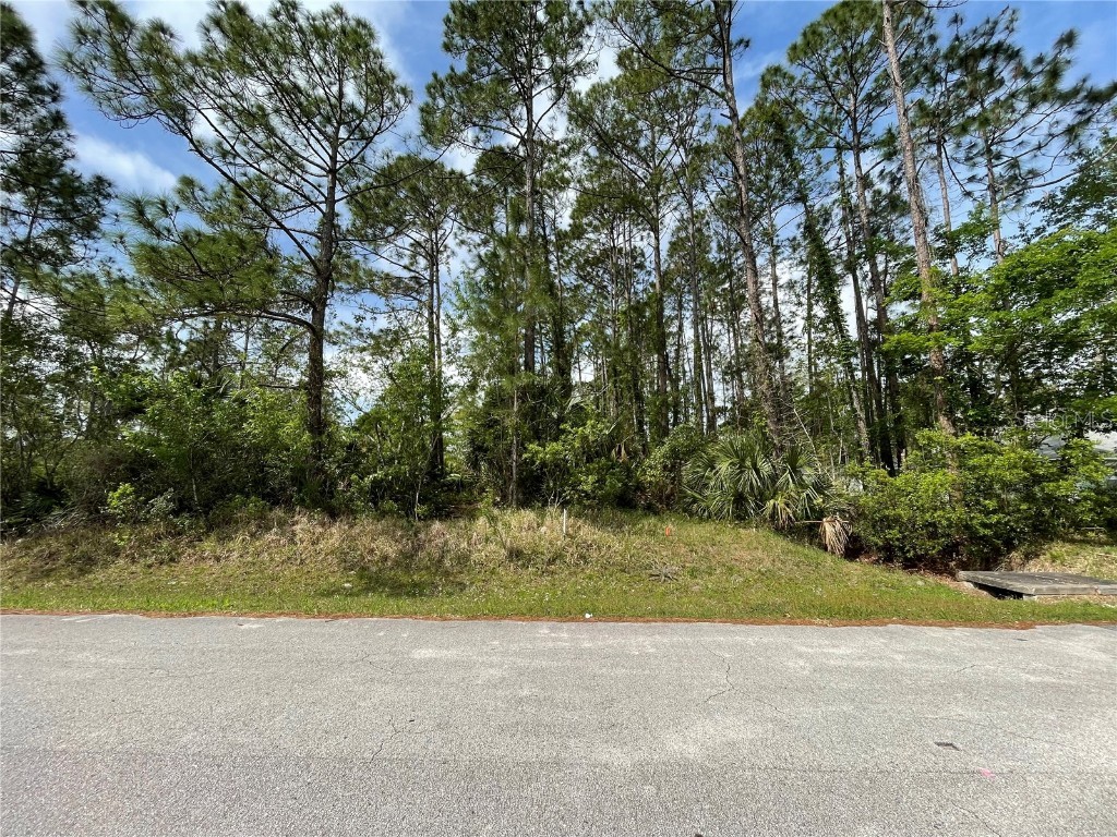 26 Seville Orange Path Palm Coast FL 32164 FC290176 image1