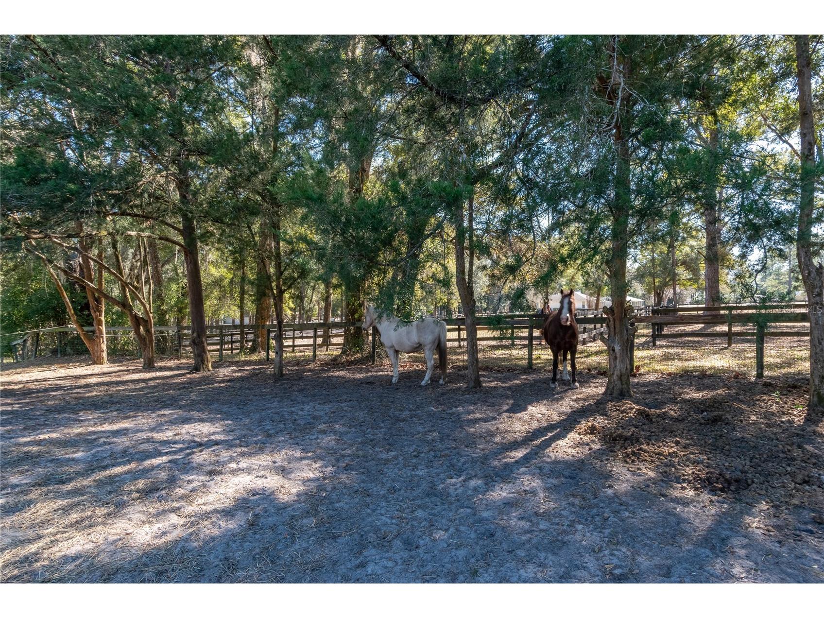 26 Wood Ridge Drive Ocala FL 34482 OM715792 image42