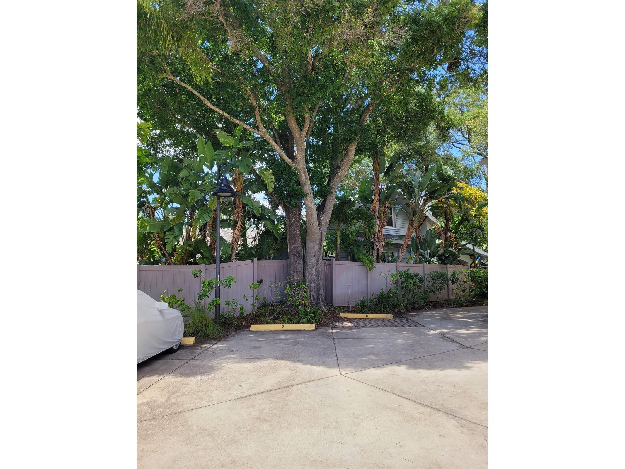 260 15th Avenue NE #NA Saint Petersburg FL 33704 TB8506719 image26