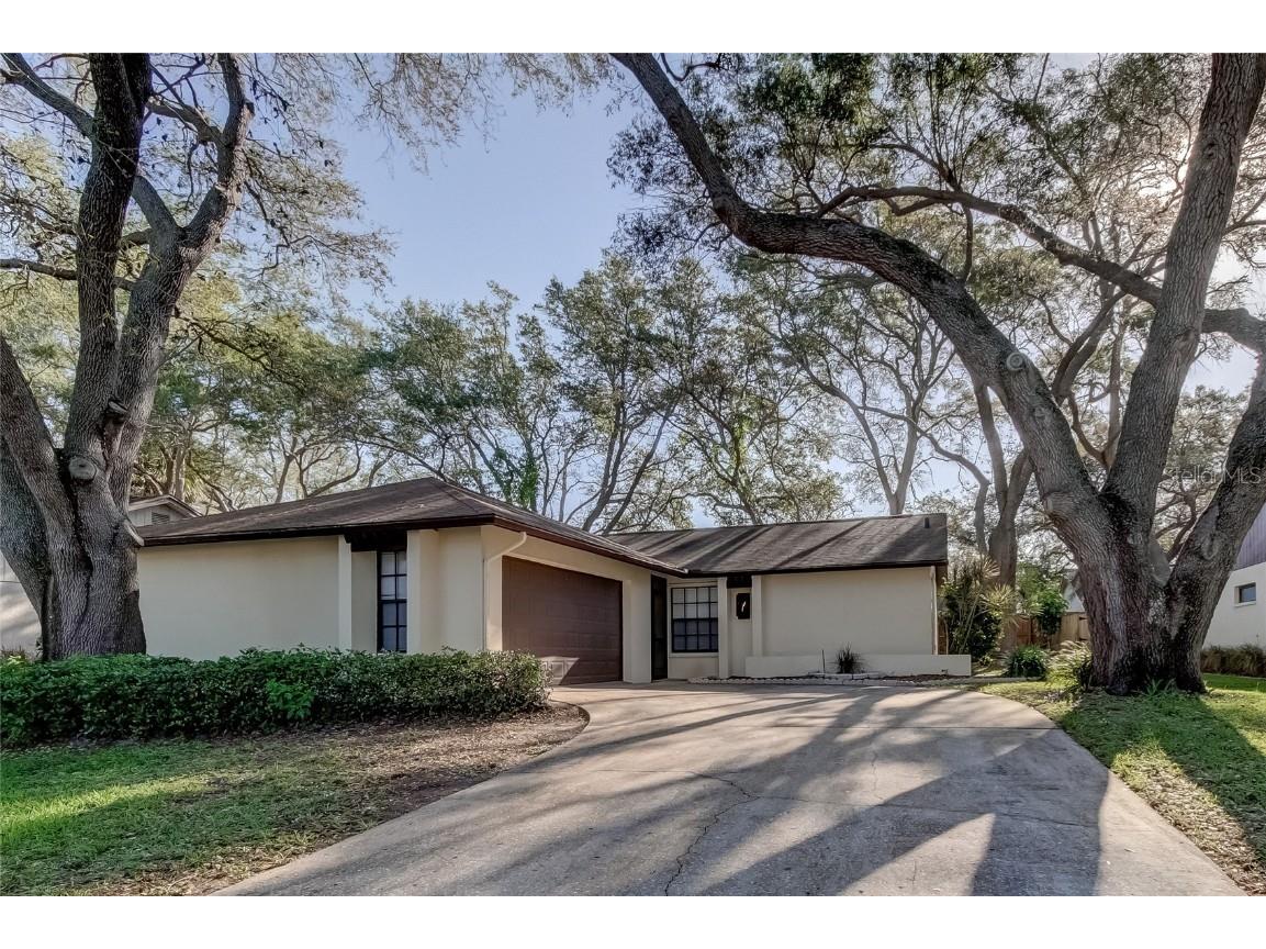 260 Arbor Glen Drive Palm Harbor FL 34683 U8194619 image1