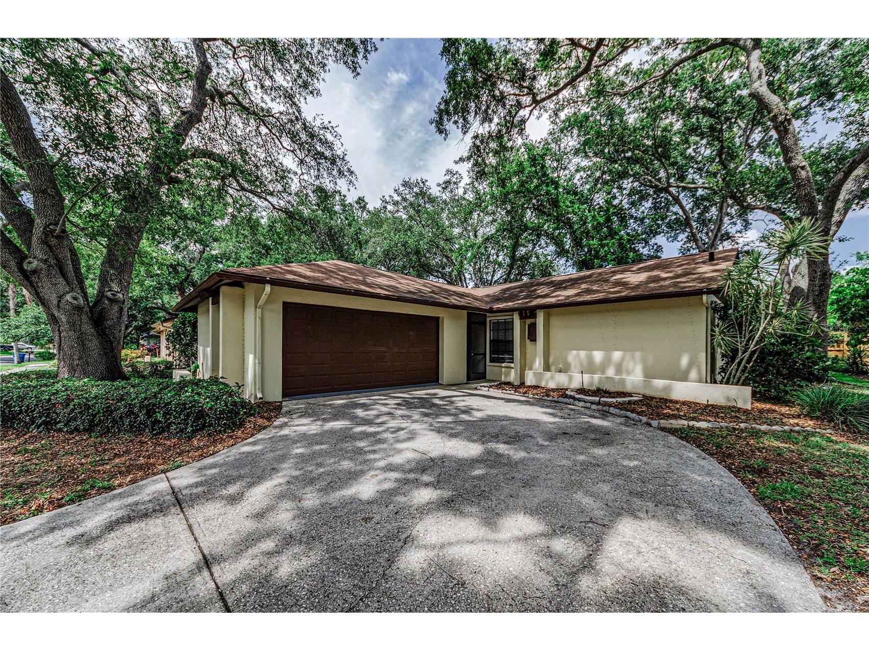 260 Arbor Glen Drive Palm Harbor FL 34683 TB8529262 image1