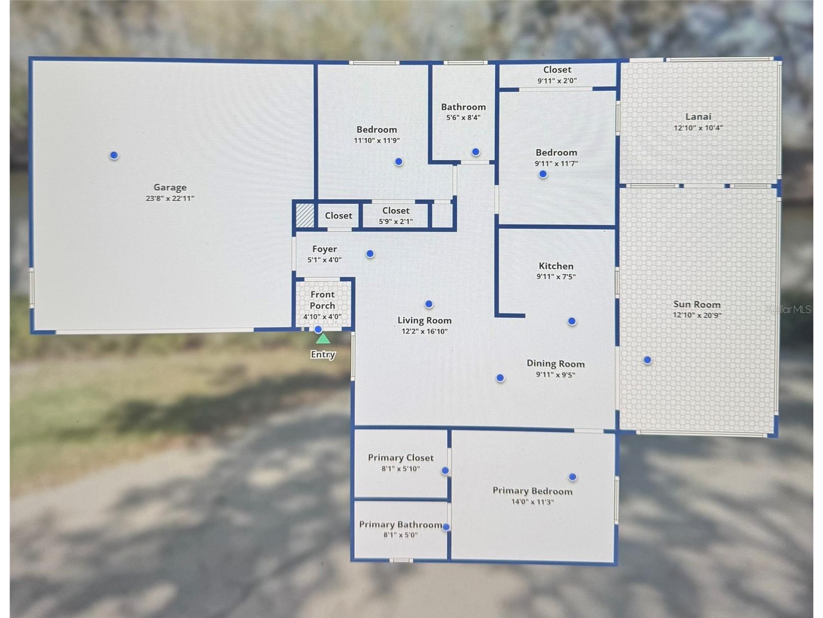 260 Arbor Glen Drive Palm Harbor FL 34683 TB8529262 image34