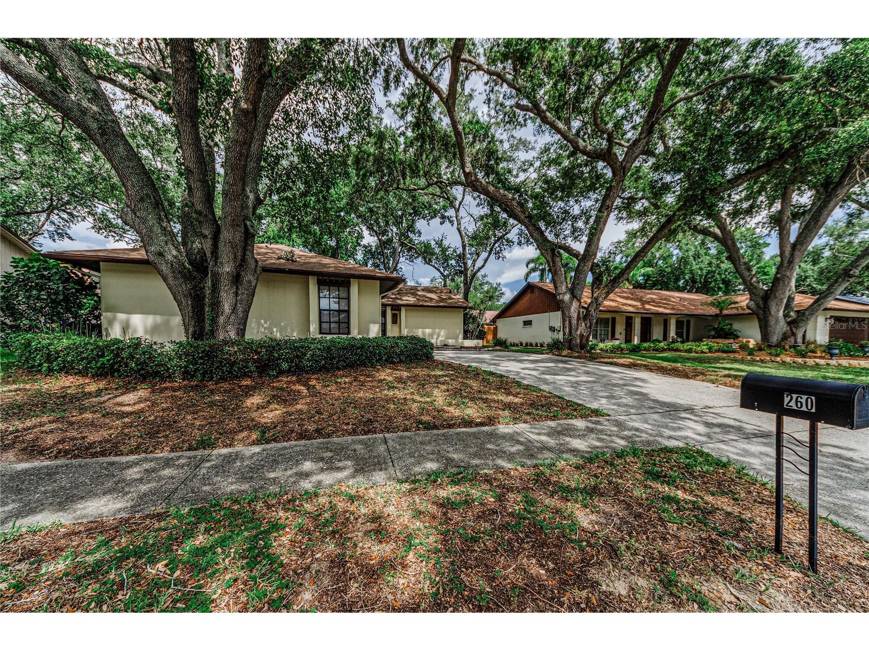 260 Arbor Glen Drive Palm Harbor FL 34683 TB8529262 image38