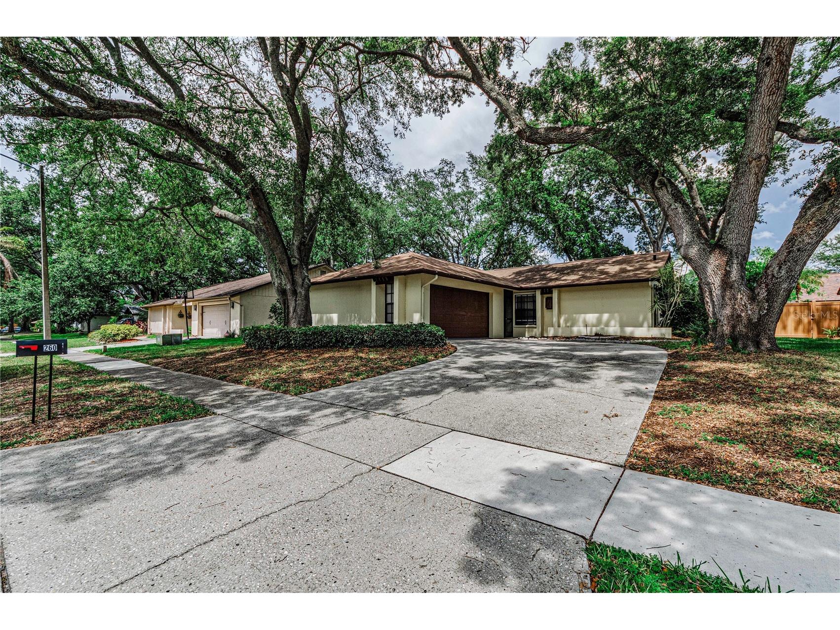 260 Arbor Glen Drive Palm Harbor FL 34683 TB8529262 image39