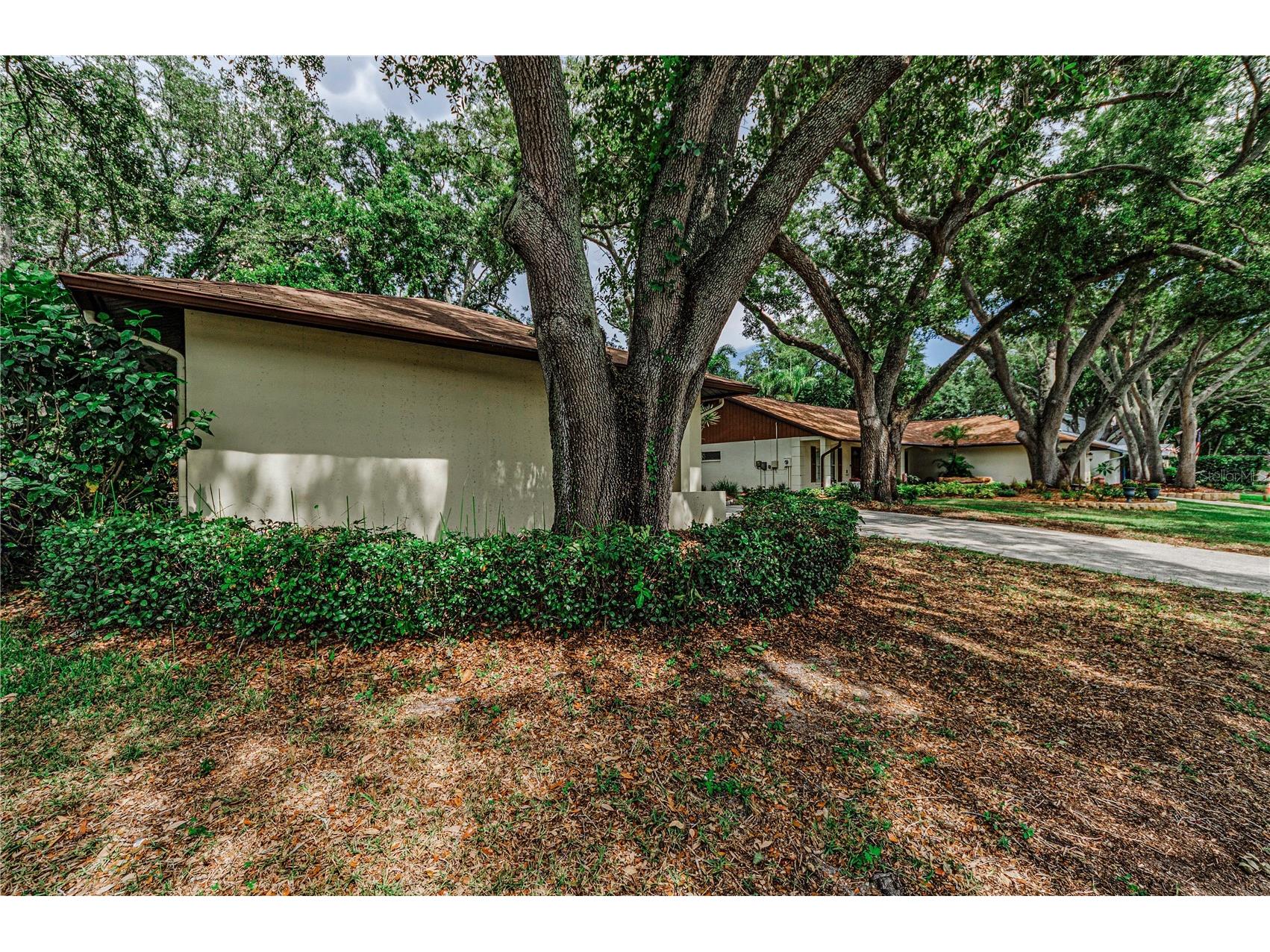 260 Arbor Glen Drive Palm Harbor FL 34683 TB8529262 image40